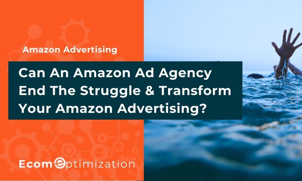 Can An Amazon Ad Agency End The Struggle & Transform Your Amazon Advertising?